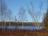 p1040978