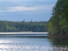 Skogssjö i Bergslagen 2021-05-19