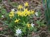 img_2032-1