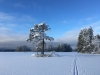 img_1077-1