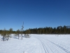 p1030232